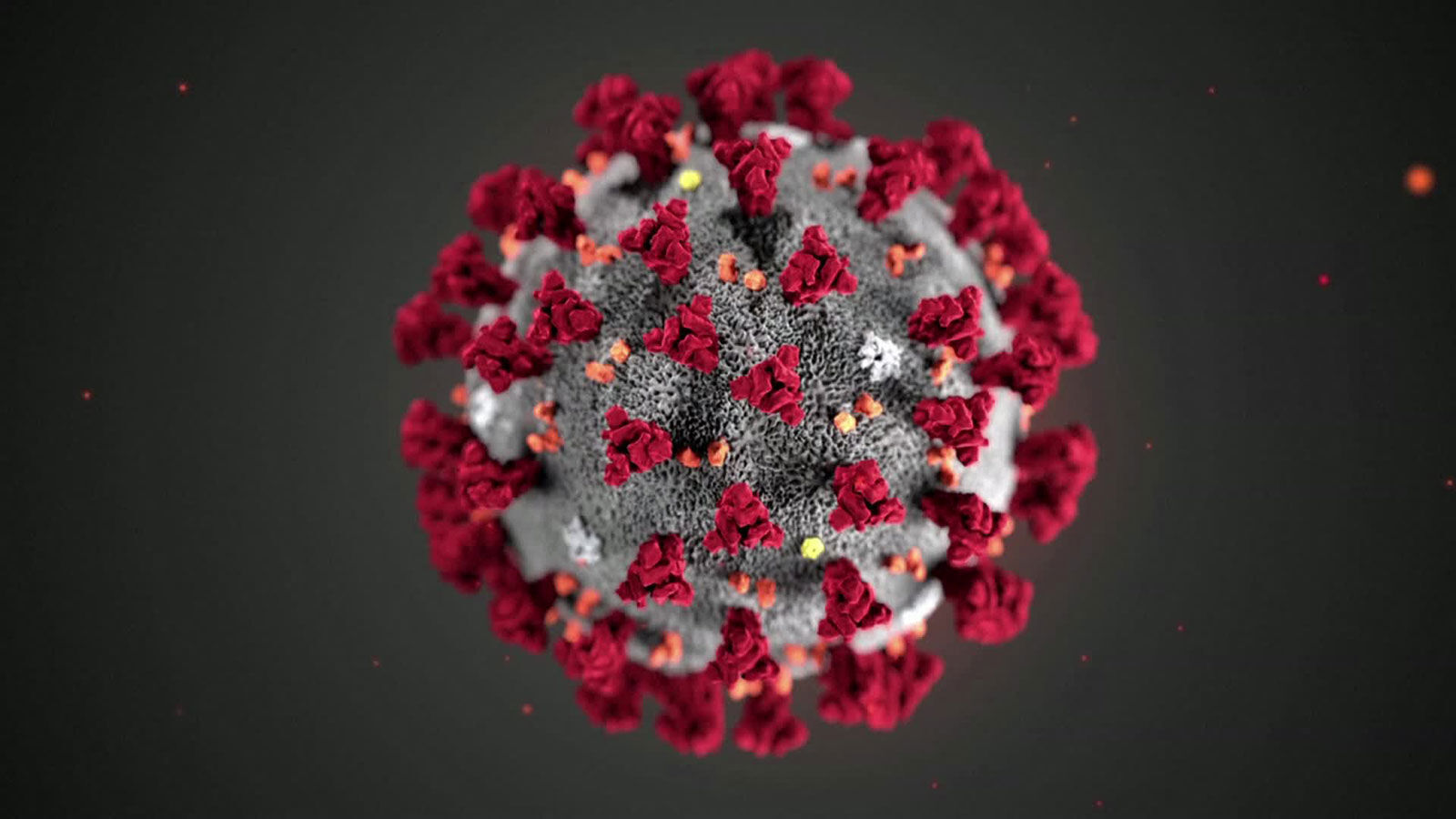 coronavirus